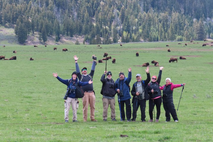 Lamar Valley Safari Hiking Tour with Lunch - Photo 1 of 25